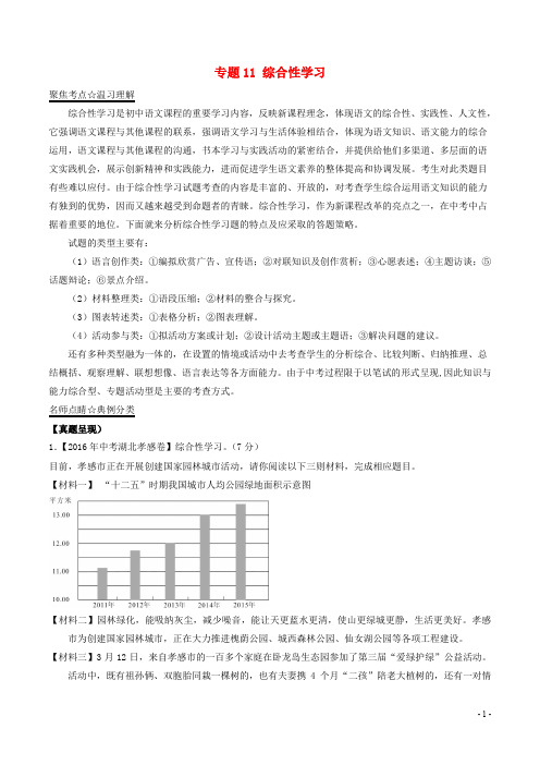 中考语文 黄金知识点系列 专题11 综合性学习