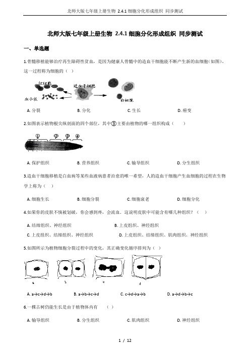 北师大版七年级上册生物 2.4.1细胞分化形成组织 同步测试