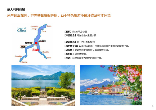 国际旅游度假目的地：意大利科莫湖案例分析