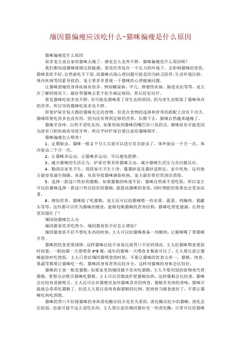 缅因猫偏瘦应该吃什么-猫咪偏瘦是什么原因