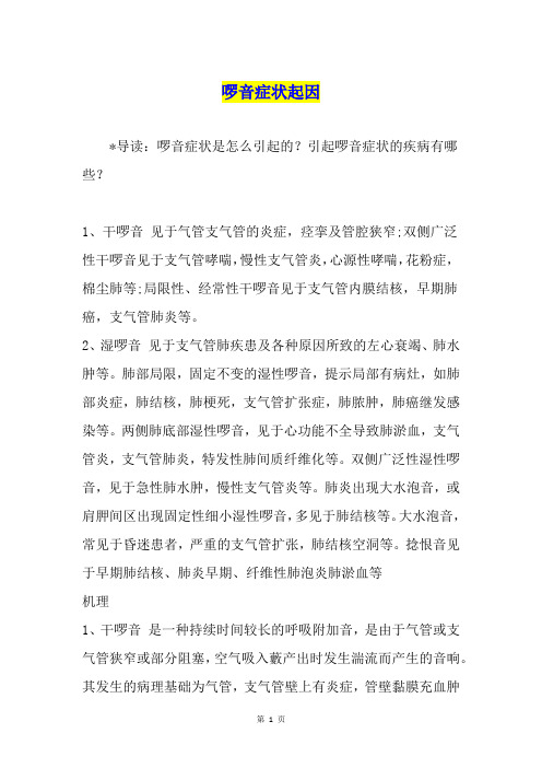 啰音症状起因