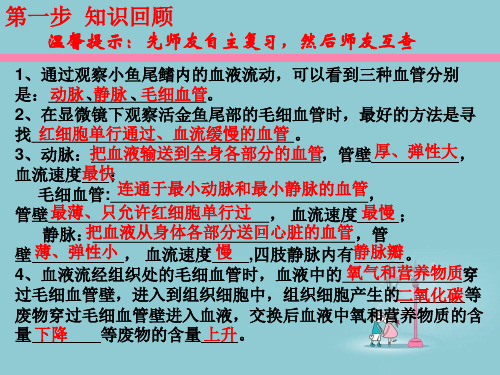 第三节 心脏