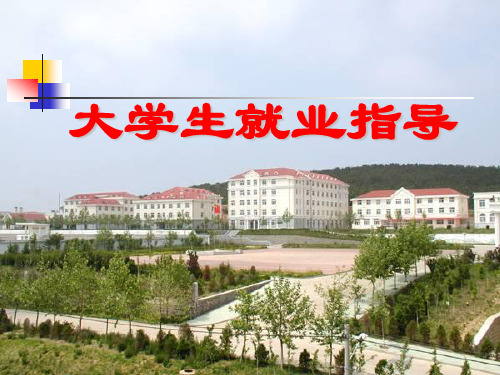 第四讲 大学生就业与职业生活中的法律保护