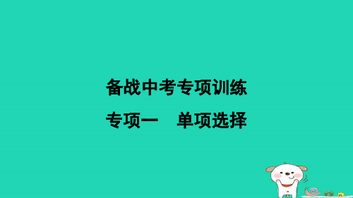 2024九年级英语下册专项一单项选择习题课件新版冀教版