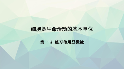 人教版七年级上册211练习使用显微镜课件(共22张PPT)