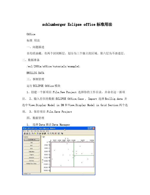 schlumbergerEclipseoffice标准用法