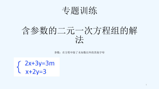 人教版含参数的二元一次方程组的解法