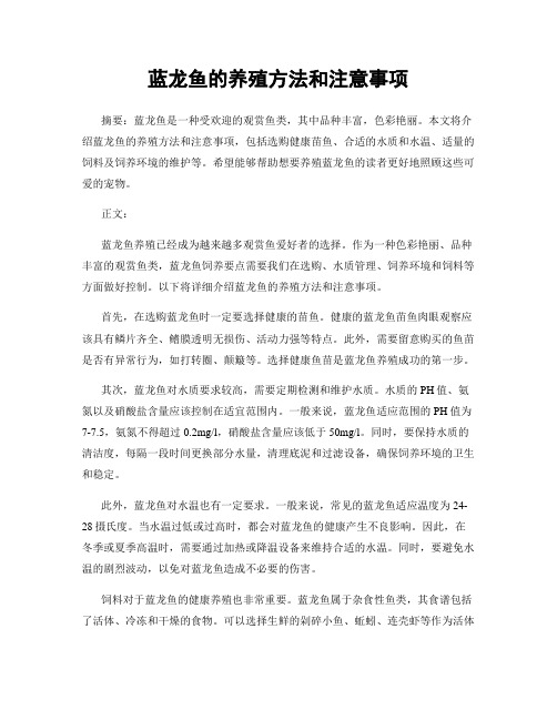 蓝龙鱼的养殖方法和注意事项