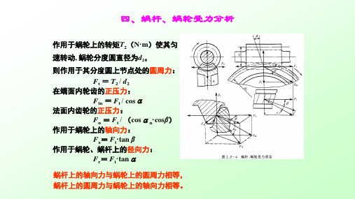 蜗杆、蜗轮受力分析