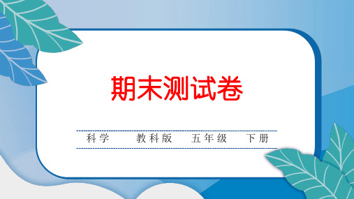 教科版小学五年级英语下册期末综合达标测试卷含答案