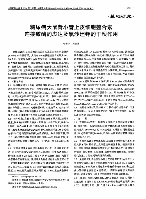 糖尿病大鼠肾小管上皮细胞整合素连接激酶的表达及氯沙坦钾的干预作用