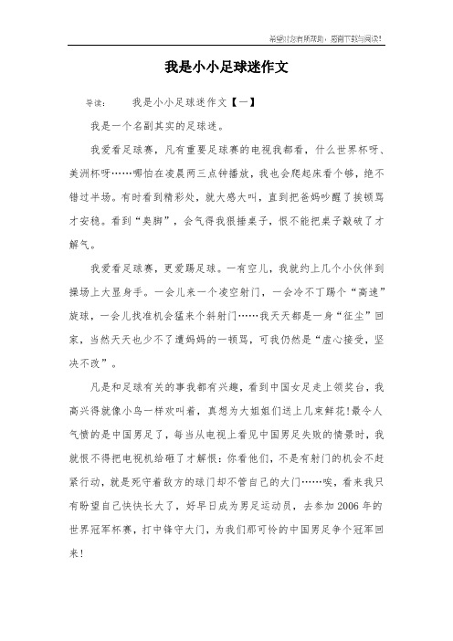 我是小小足球迷作文