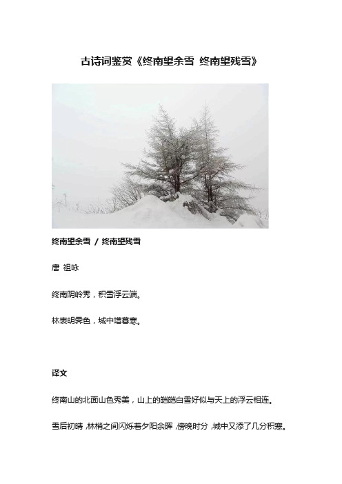 古诗词鉴赏《终南望余雪 终南望残雪》