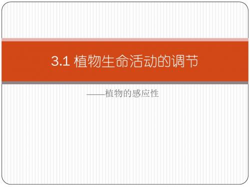 浙教版八年级科学上册课件3.1植物的感应性教学课件01