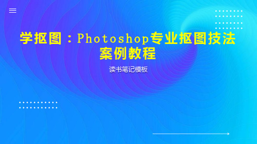 学抠图：Photoshop专业抠图技法案例教程