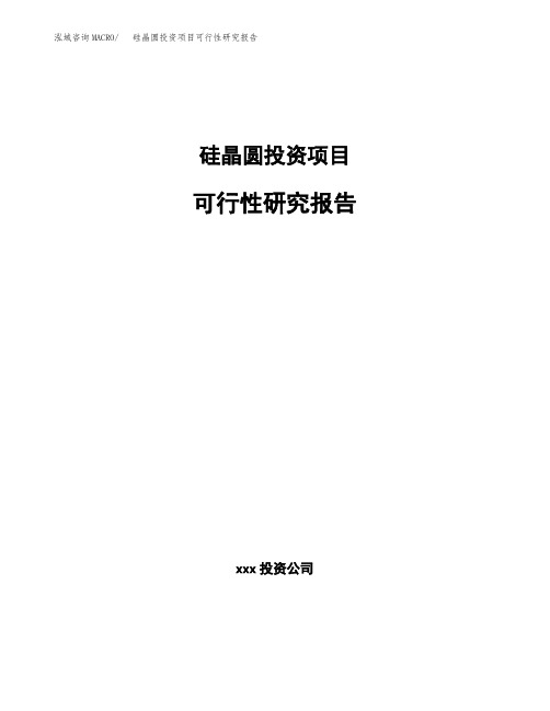 硅晶圆投资项目可行性研究报告