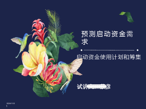 启动资金需求分析与使用计划