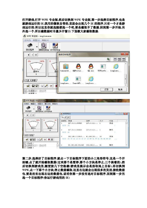 WPE使用教程