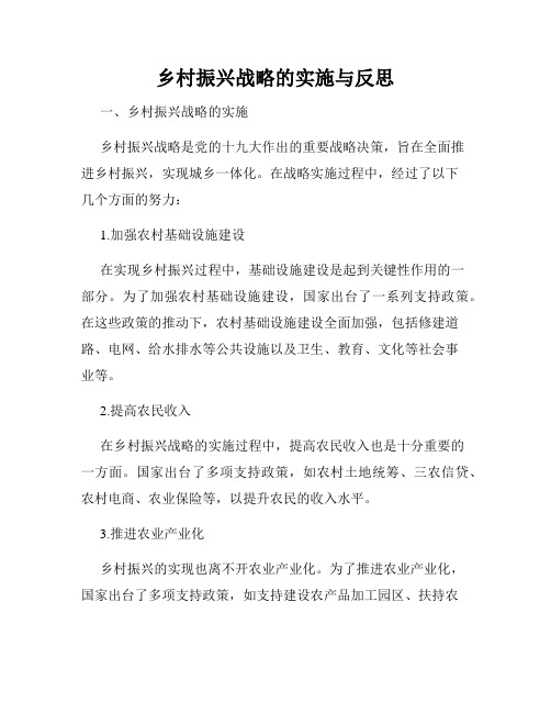 乡村振兴战略的实施与反思