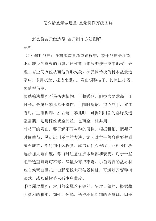 怎么给盆景做造型 盆景制作方法图解