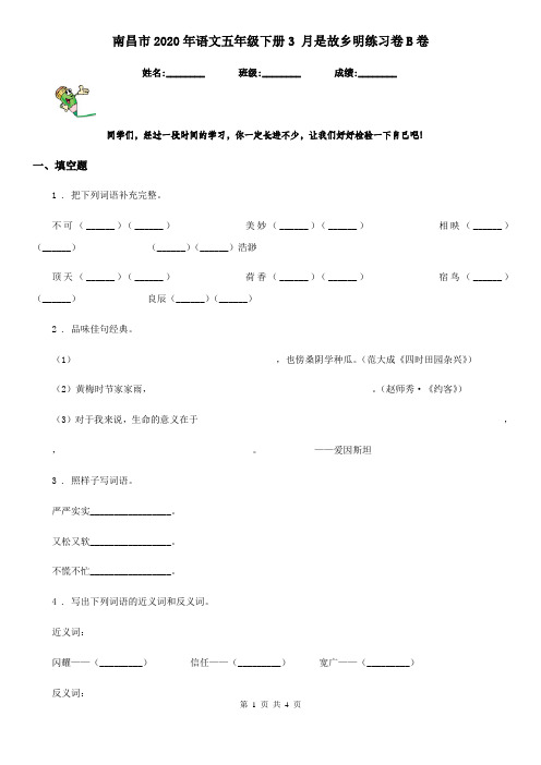 南昌市2020年语文五年级下册3 月是故乡明练习卷B卷