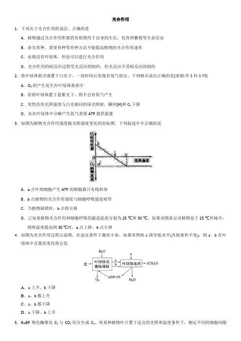 2019年高考生物一轮重要考点《光合作用》练习卷有答案