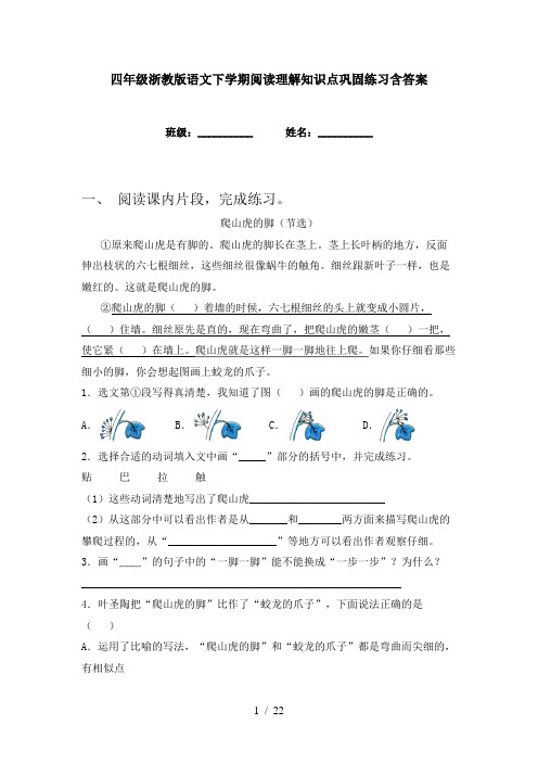 四年级浙教版语文下学期阅读理解知识点巩固练习含答案