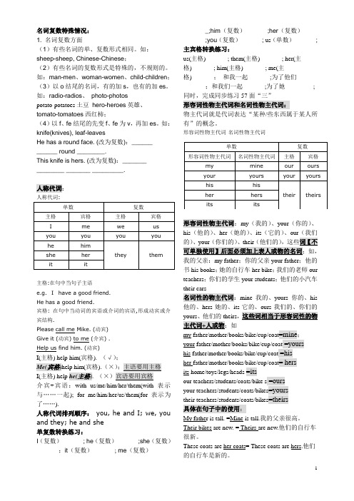 名词代词及动词第三人称单数