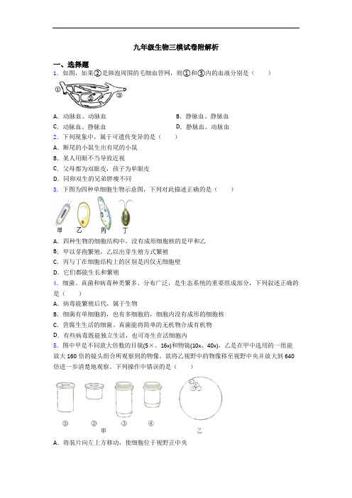 九年级生物三模试卷附解析