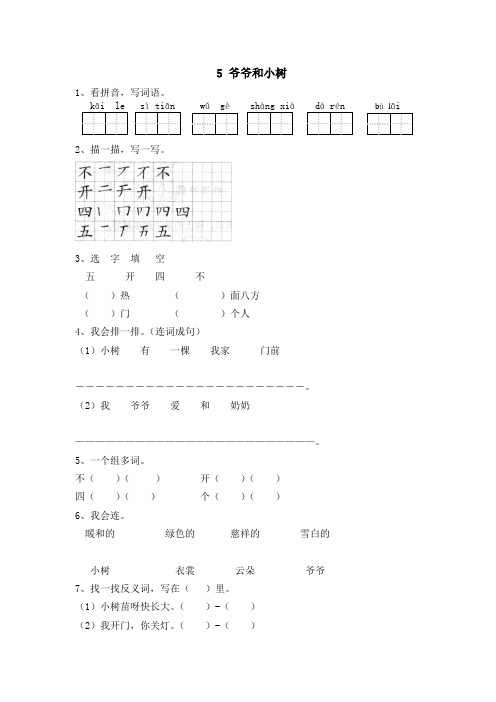 人教版一年级 语文上册(同步训练)5 爷爷和小树