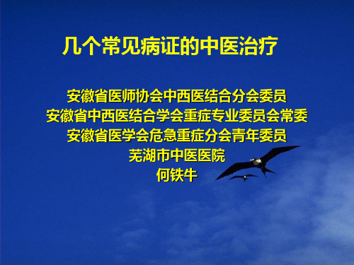 常见病证的中医治疗PPT课件