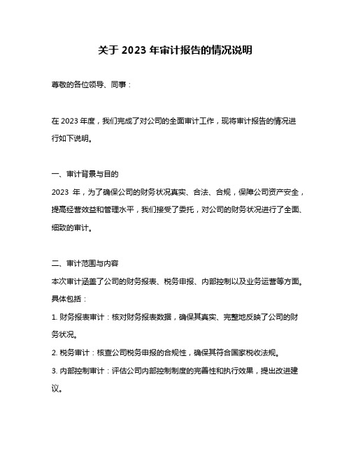 关于2023年审计报告的情况说明