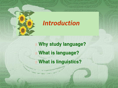 语言学1.intoduction