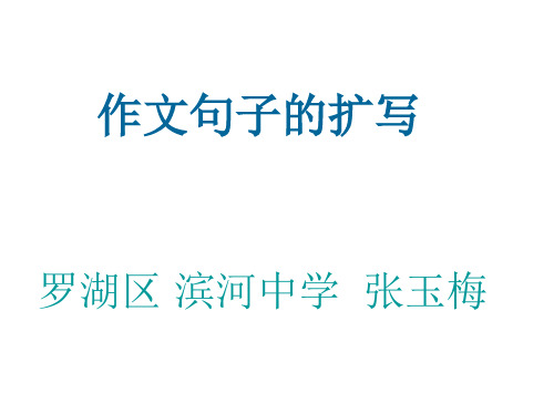 高中英语作文句子的扩写优秀公开课课件