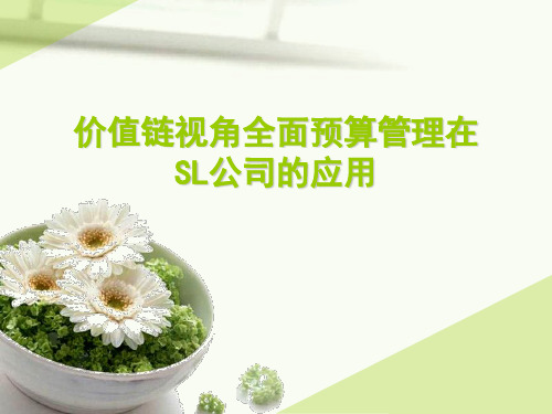 价值链视角全面预算管理在SL公司的应用