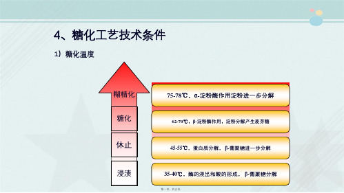 食品冷链品控专业《糖化工艺技术条件》