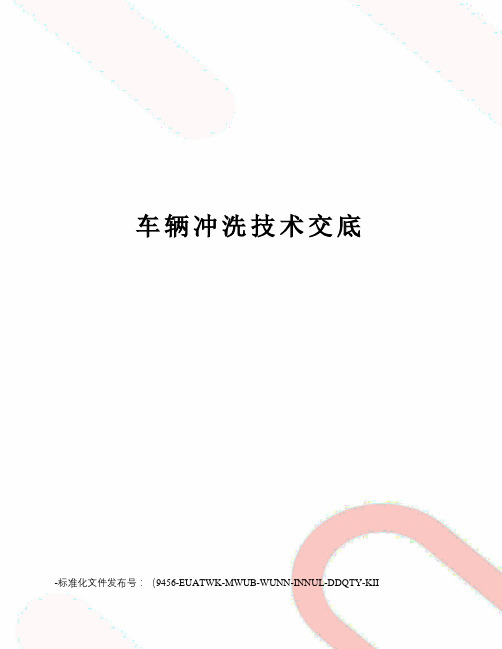 车辆冲洗技术交底