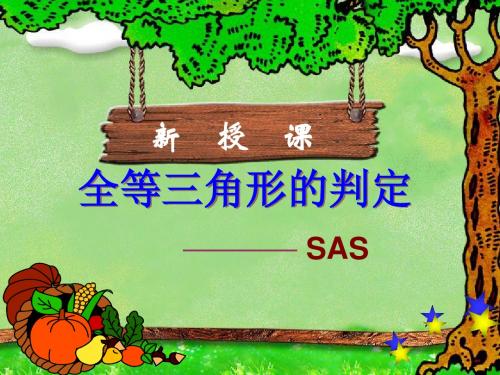 12.2全等三角形判定(2)SAS