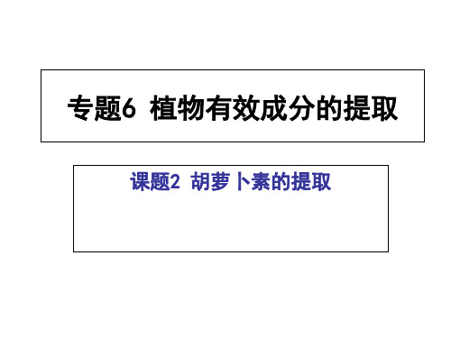 人教版高中生物选修1第专题6课题2 胡萝卜素的提取(共19张PPT)