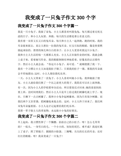 我变成了一只兔子作文300个字