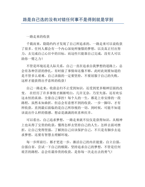 路是自己选的没有对错任何事不是得到就是学到