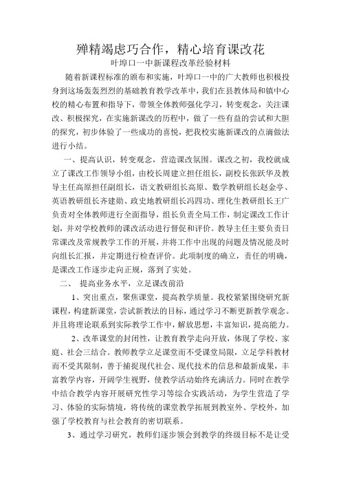 殚精竭虑巧合作,精心培育课改花