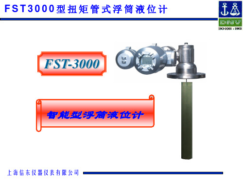 FT3000液位计介绍