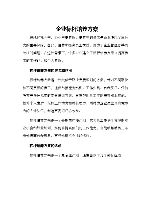 企业标杆培养方案