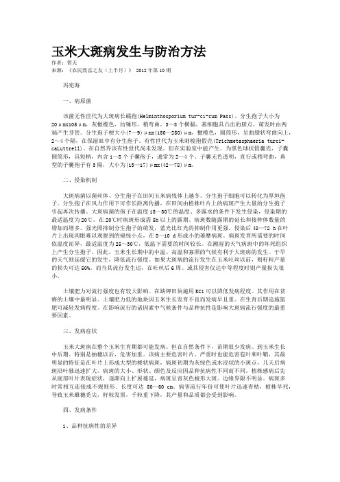 玉米大斑病发生与防治方法