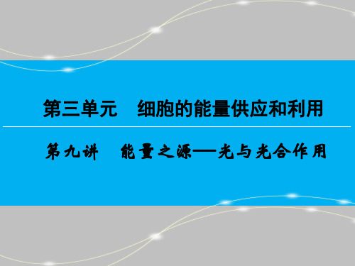 2022年高考生物大一轮复习讲义：第3单元 第9讲 能量之源——光与光合作用