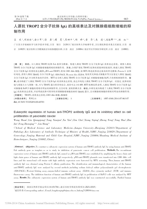 人源抗TROP2全分子抗体IgG的真核表达及对胰腺癌细胞增殖的抑制作用