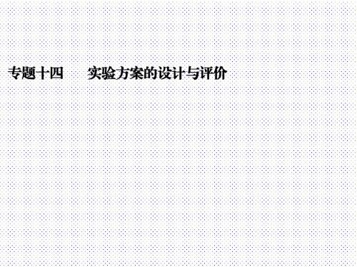 最新人教版九年级化学中考复习专题十四 实验方案的设计与评价 (共37张PPT)