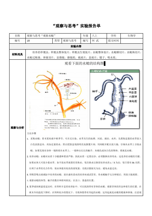 “观察与思考”软体动物水螅的实验报告单-何武