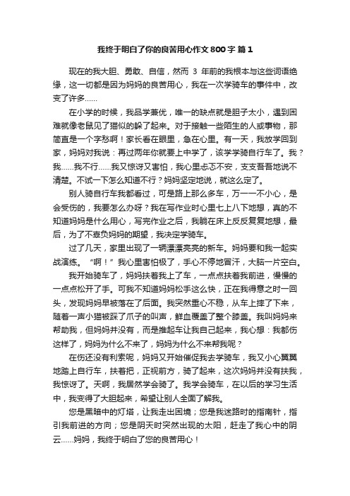 我终于明白了你的良苦用心作文800字